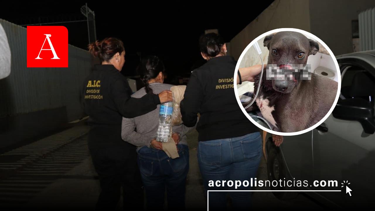 Dictan prisión preventiva a mujer que macheteó a un perro en Pachuca