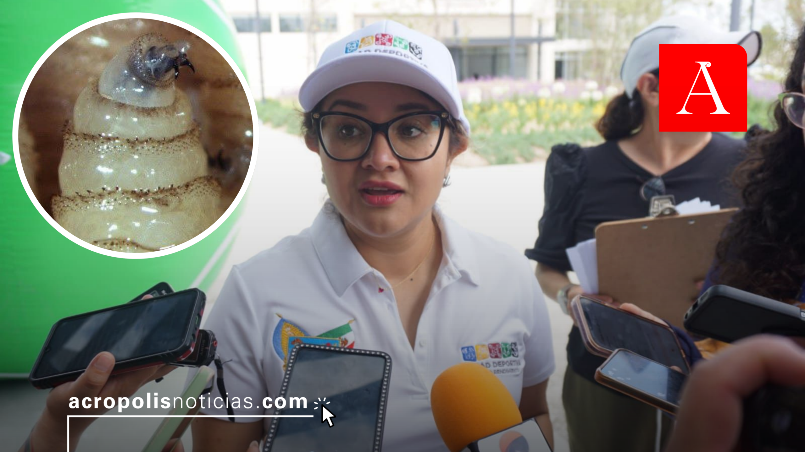 Acumula Hidalgo 14 casos de gusano barrenador en humanos